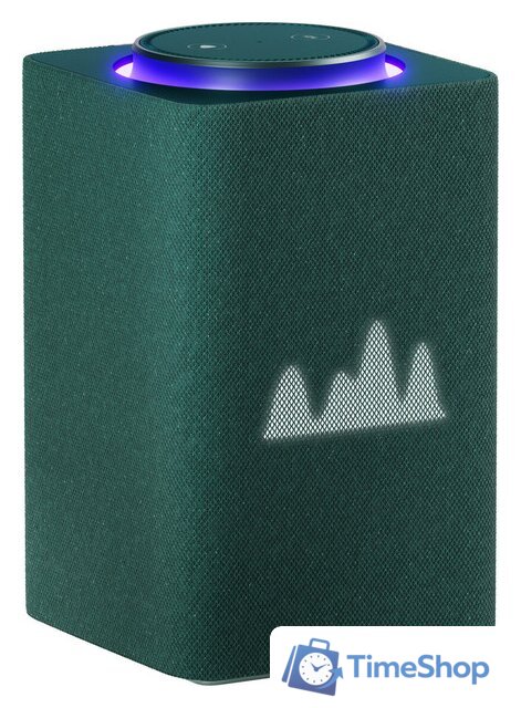 Умная колонка Яндекс Станция Макс (с хабом умного дома Zigbee, зеленый) - Изображение №1 — Интернет-магазин Time-Shop