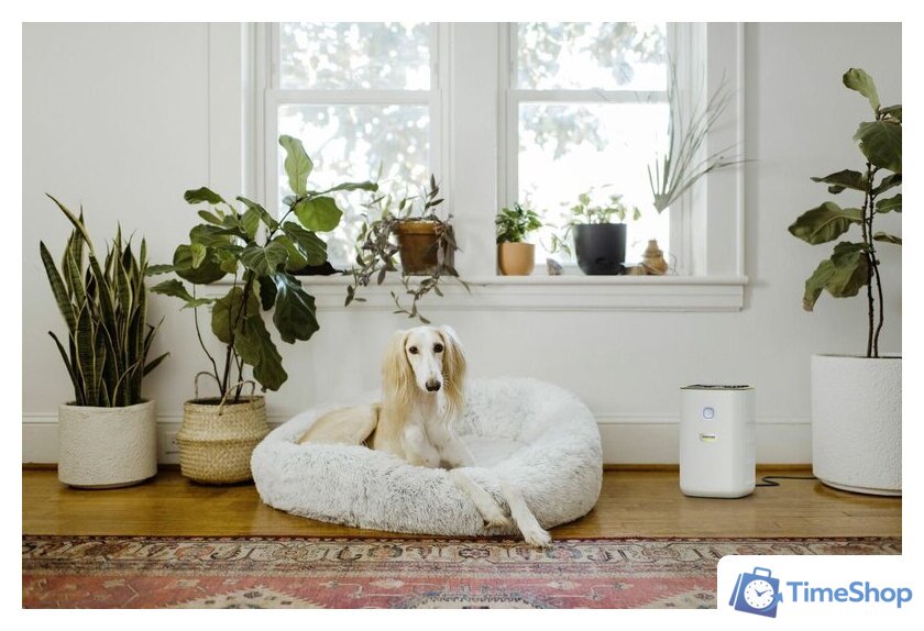 Очиститель воздуха Karcher AF 20 1.024-820.0 - Изображение №6 — Интернет-магазин Time-Shop