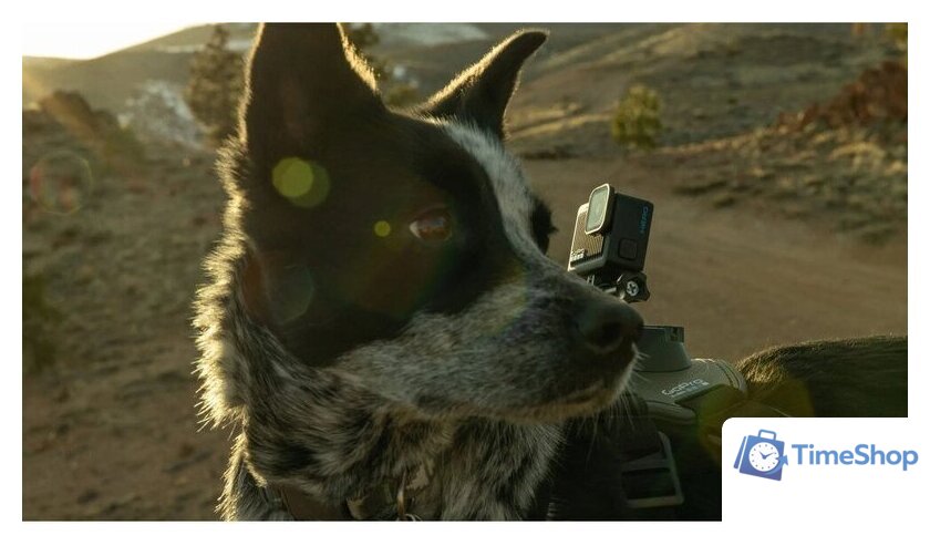 Экшен-камера GoPro HERO Compact 4K - Изображение №10 — Интернет-магазин Time-Shop