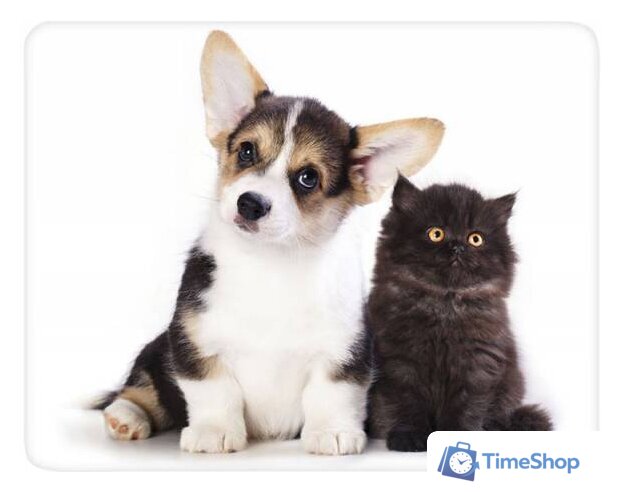 Коврик для мыши Buro BU-M40095 - Изображение №1 — Интернет-магазин Time-Shop