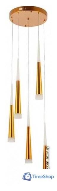 Подвесная люстра Evoluce Oprelo SLE200103-05 - Изображение №1 — Интернет-магазин Time-Shop