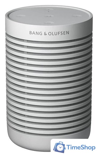 Беспроводная колонка Bang & Olufsen Beosound Explore (серый) - Изображение №1 — Интернет-магазин Time-Shop