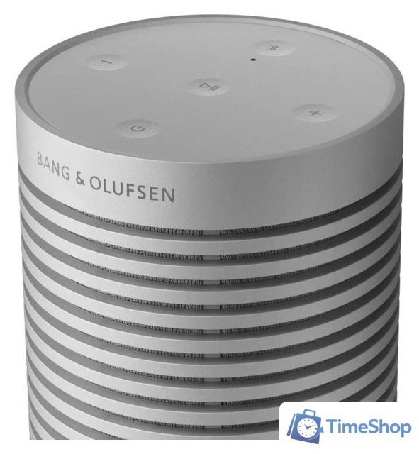 Беспроводная колонка Bang & Olufsen Beosound Explore (серый) - Изображение №5 — Интернет-магазин Time-Shop