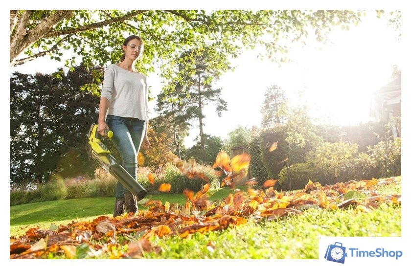 Ручная воздуходувка Ryobi OBL18JB (без АКБ) - Изображение №5 — Интернет-магазин Time-Shop