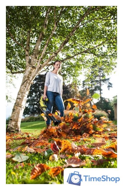 Ручная воздуходувка Ryobi OBL18JB (без АКБ) - Изображение №6 — Интернет-магазин Time-Shop