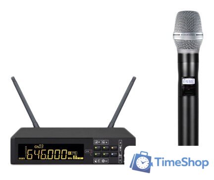 Радиосистема Biema DG-100 - Изображение №1 — Интернет-магазин Time-Shop