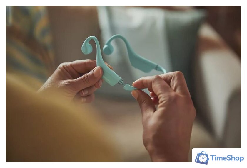 Наушники Philips TAK4607GR/00 - Изображение №8 — Интернет-магазин Time-Shop