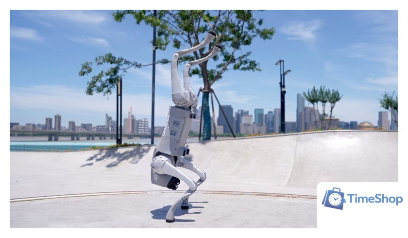 Умный робот-друг Unitree Go2 Air - Изображение №24 — Интернет-магазин Time-Shop