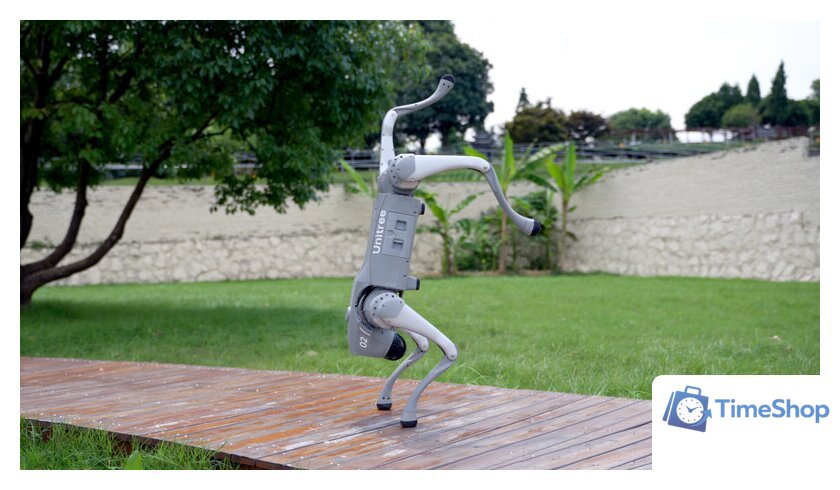 Умный робот-друг Unitree Go2 Air - Изображение №18 — Интернет-магазин Time-Shop
