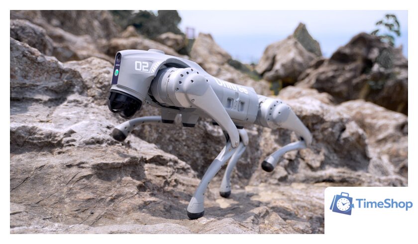 Умный робот-друг Unitree Go2 Air - Изображение №23 — Интернет-магазин Time-Shop