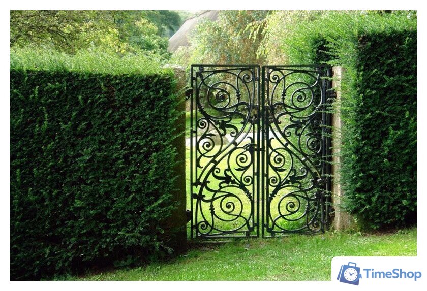 Эмаль MAV Ecol ПФ-115 11 кг (фиолетовый) - Изображение №15 — Интернет-магазин Time-Shop