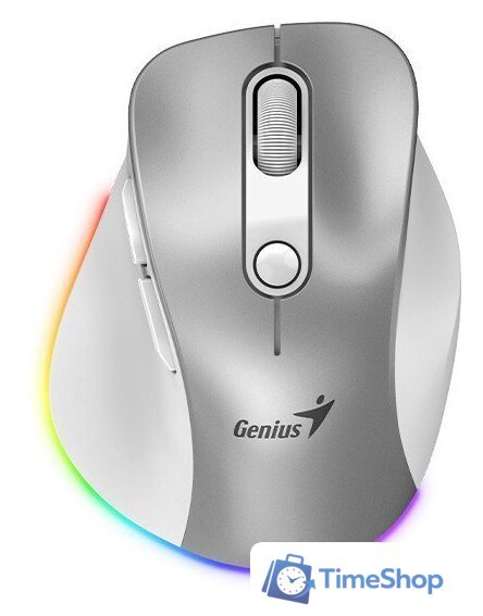 Мышь Genius Ergo 9000S Pro (серебристый) - Изображение №1 — Интернет-магазин Time-Shop