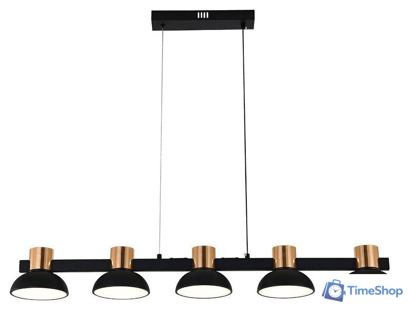 Подвесная люстра Indigo Light Traforo V000184L - Изображение №1 — Интернет-магазин Time-Shop