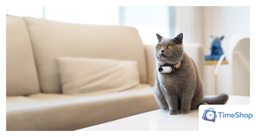 Экшен-камера Insta360 GO3 64GB (арктический белый) - Изображение №7 — Интернет-магазин Time-Shop