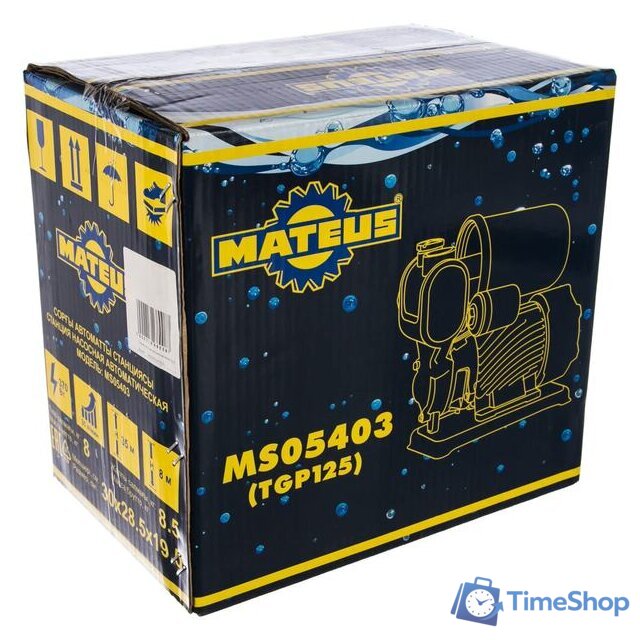 Насосная станция Mateus TGP 125 - Изображение №5 — Интернет-магазин Time-Shop