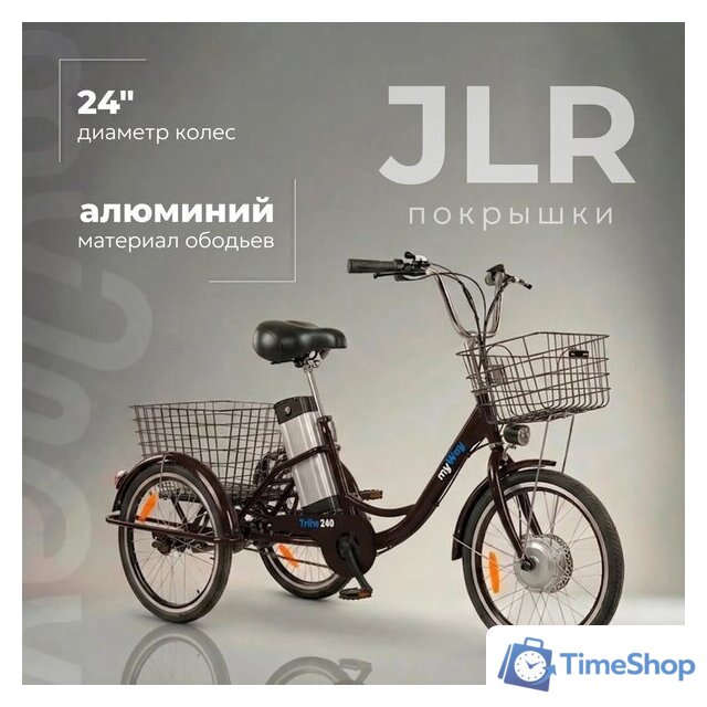 Электровелосипед MyWay Trike 350 Max 24 р.15 (черный) - Изображение №5 — Интернет-магазин Time-Shop