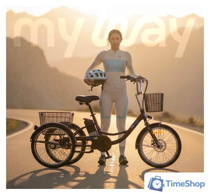 Электровелосипед MyWay Trike 350 Max 24 р.15 (черный) - Изображение №7 — Интернет-магазин Time-Shop