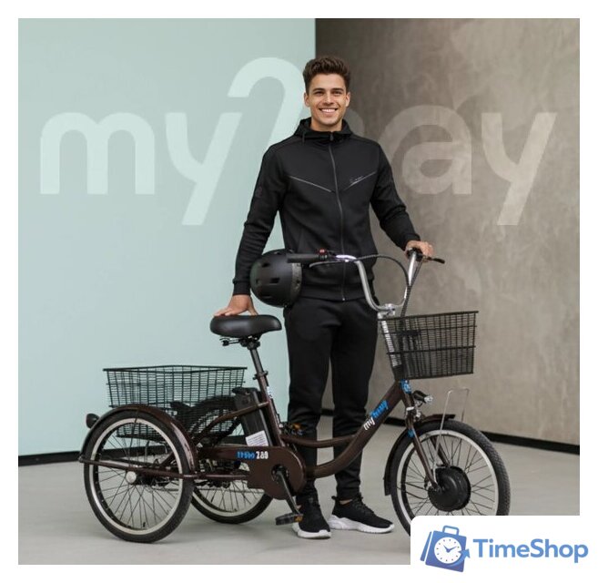 Электровелосипед MyWay Trike 350 Max 24 р.15 (черный) - Изображение №3 — Интернет-магазин Time-Shop