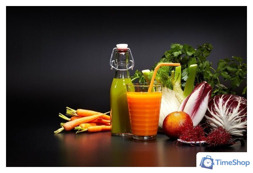 Соковыжималка Goetze & Jensen SJ901T - Изображение №2 — Интернет-магазин Time-Shop