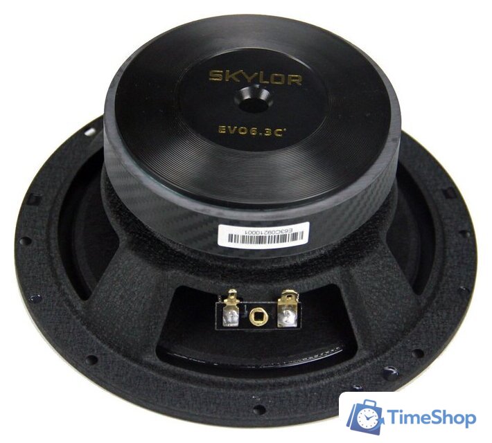 Компонентная АС Skylor EVO6.3C - Изображение №22 — Интернет-магазин Time-Shop