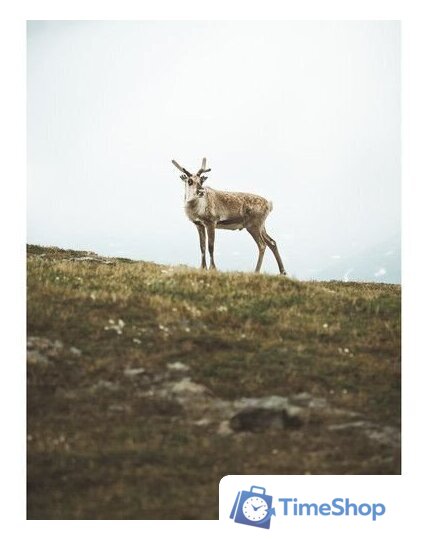 Беззеркальный фотоаппарат Olympus OM-5 Body (серебристый) - Изображение №21 — Интернет-магазин Time-Shop