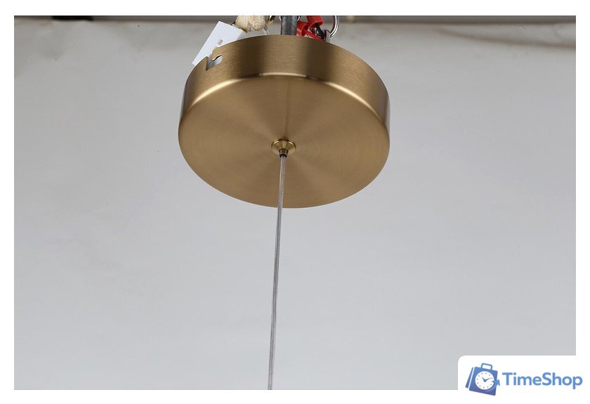 Подвесная люстра F-Promo Chantra 4088-1P - Изображение №3 — Интернет-магазин Time-Shop