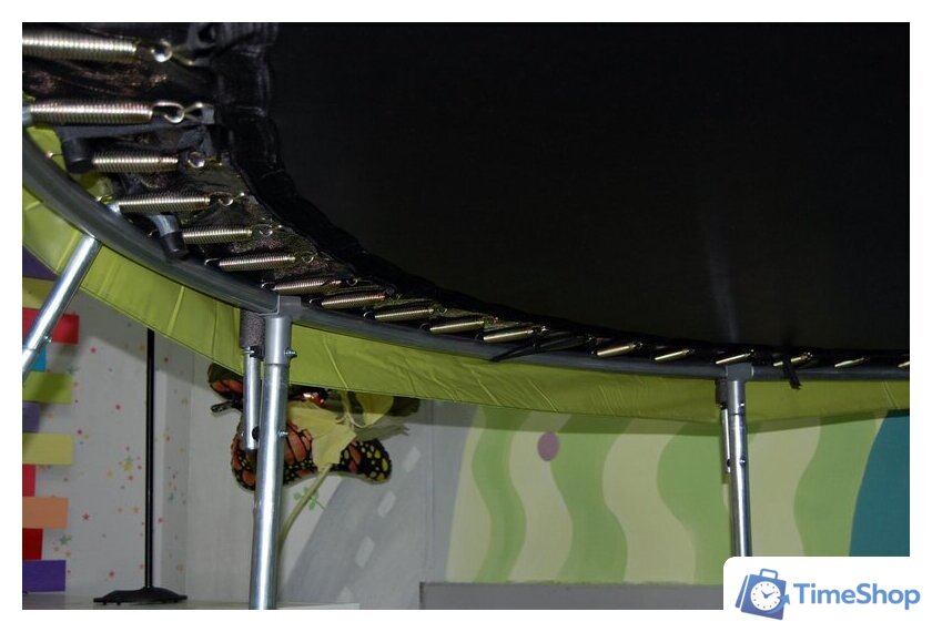 Батут Atlas Sport 252 см - 8ft Master (с лестницей, зеленый) - Изображение №2 — Интернет-магазин Time-Shop