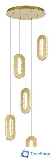 Подвесная люстра ST Luce SL6506.203.05 - Изображение №1 — Интернет-магазин Time-Shop