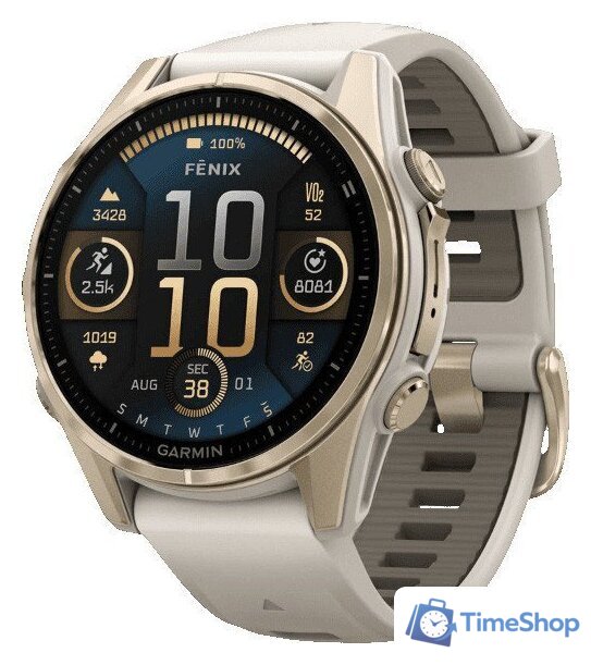 Умные часы Garmin Fenix 8 Sapphire 43мм (золотистый, дымчато-серый ремешок) - Изображение №1 — Интернет-магазин Time-Shop