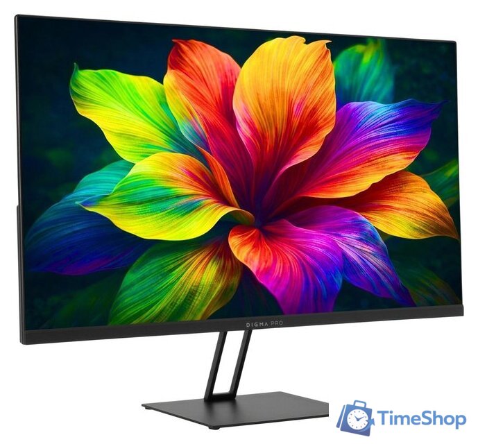 Монитор Digma Pro Motion S TM24SB01 - Изображение №2 — Интернет-магазин Time-Shop