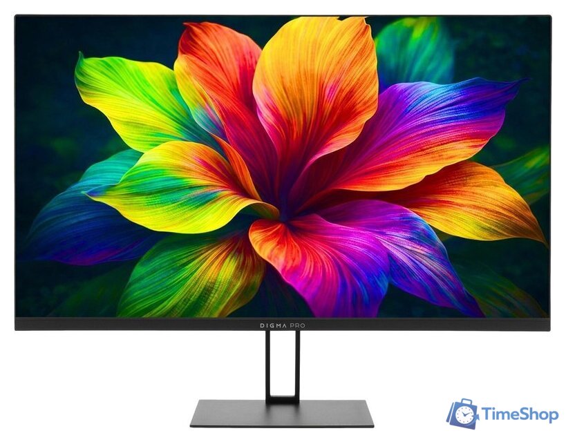 Монитор Digma Pro Motion S TM24SB01 - Изображение №1 — Интернет-магазин Time-Shop