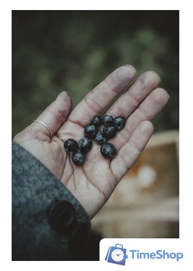 Беззеркальный фотоаппарат Olympus OM-5 Body (черный) - Изображение №16 — Интернет-магазин Time-Shop