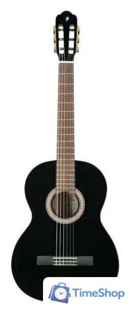 Акустическая гитара Prodipe Primera 3/4 BK - Изображение №1 — Интернет-магазин Time-Shop