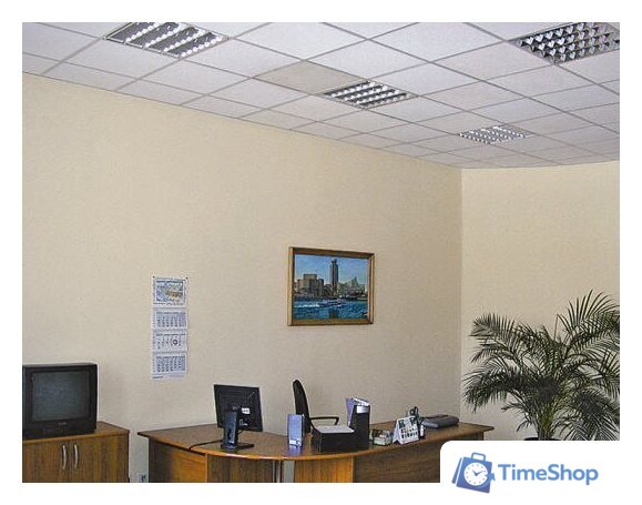 Инфракрасный обогреватель Теплофон ЭРГНА 0,5/220 (п) КТ - Изображение №6 — Интернет-магазин Time-Shop