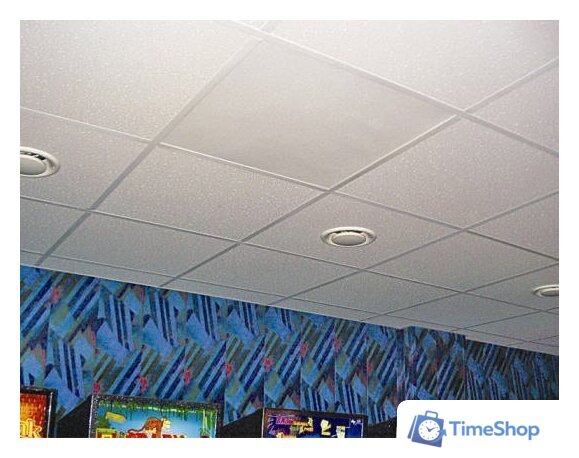 Инфракрасный обогреватель Теплофон ЭРГНА 0,5/220 (п) КТ - Изображение №5 — Интернет-магазин Time-Shop