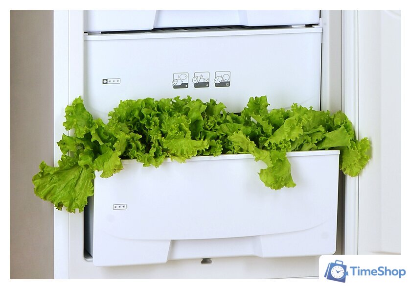 Холодильник POZIS RK-139 (белый) - Изображение №4 — Интернет-магазин Time-Shop