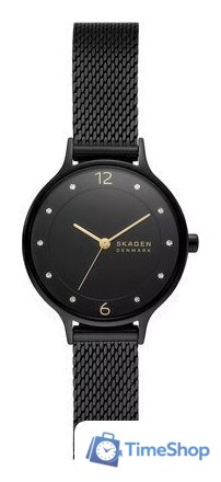 Наручные часы Skagen SKW3112 - Изображение №1 — Интернет-магазин Time-Shop