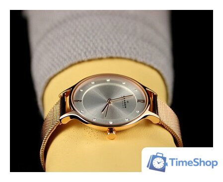 Наручные часы Skagen SKW2151 - Изображение №16 — Интернет-магазин Time-Shop