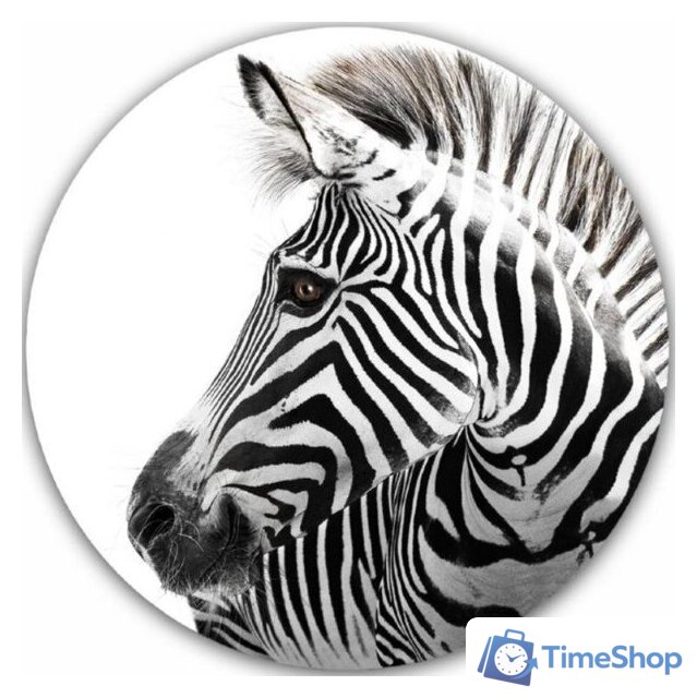 Картина на стекле Orlix Зебра GL-01089 70 - Изображение №1 — Интернет-магазин Time-Shop
