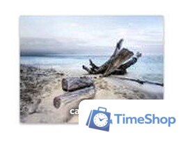 Картина Orlix Берег CA-11969 85x113 см - Изображение №1 — Интернет-магазин Time-Shop