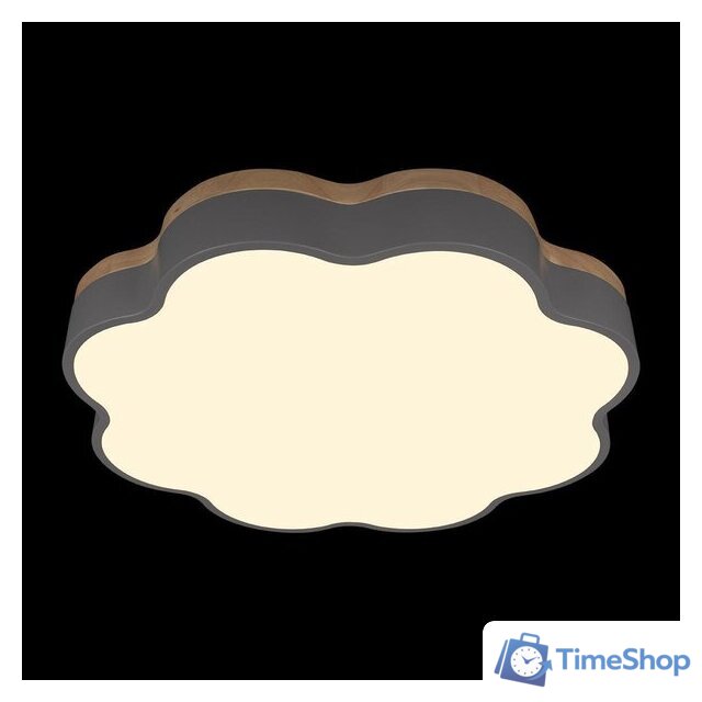 Светильник-тарелка LOFT IT Axel 10225/36 (Grey) - Изображение №4 — Интернет-магазин Time-Shop