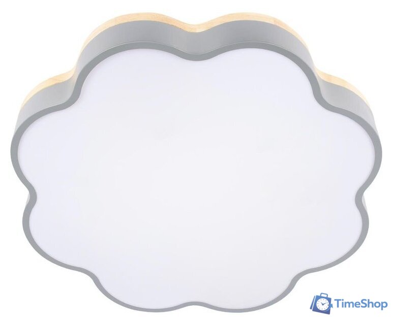 Светильник-тарелка LOFT IT Axel 10225/36 (Grey) - Изображение №2 — Интернет-магазин Time-Shop