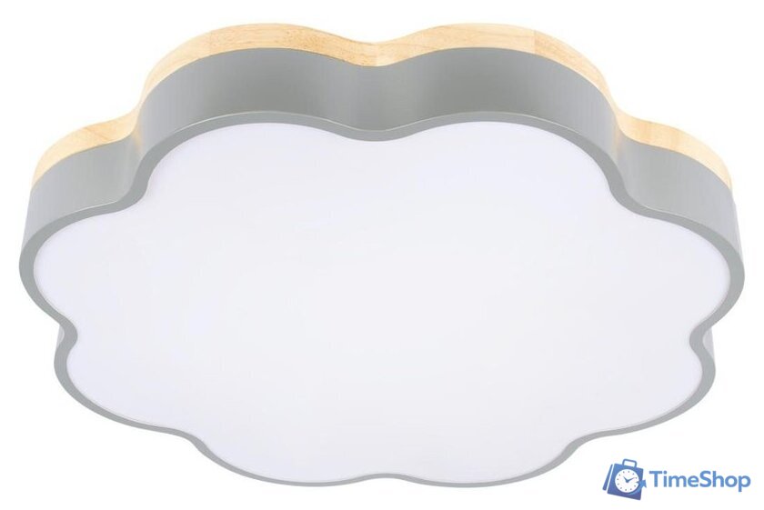 Светильник-тарелка LOFT IT Axel 10225/36 (Grey) - Изображение №1 — Интернет-магазин Time-Shop