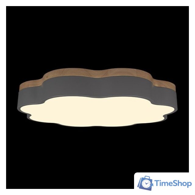 Светильник-тарелка LOFT IT Axel 10225/36 (Grey) - Изображение №6 — Интернет-магазин Time-Shop