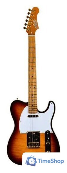 Электрогитара JET JT-600 BS G - Изображение №1 — Интернет-магазин Time-Shop