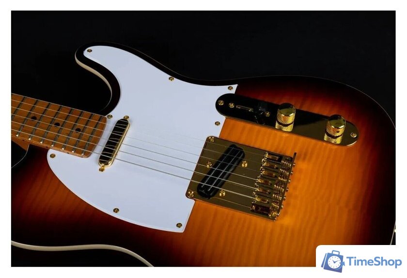 Электрогитара JET JT-600 BS G - Изображение №4 — Интернет-магазин Time-Shop