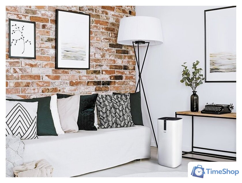 Очиститель воздуха Ballu AP-107 - Изображение №9 — Интернет-магазин Time-Shop