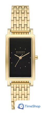 Наручные часы Skagen SKW3113 - Изображение №1 — Интернет-магазин Time-Shop