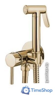 Гигиенический душ Rea Loop REA-B8979 (золотой) - Изображение №1 — Интернет-магазин Time-Shop