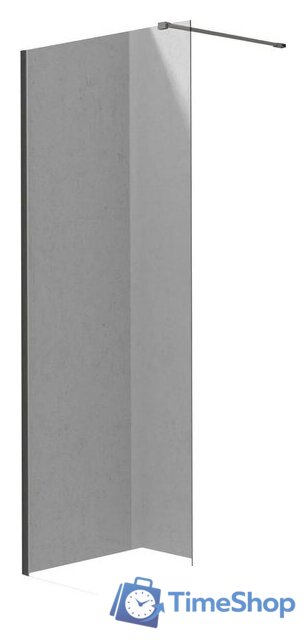 Душевая стенка Deante Prizma Walk-In KTJ_D30P - Изображение №1 — Интернет-магазин Time-Shop